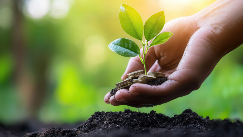 Sustainability Graphics 1 What is Carbon Literacy